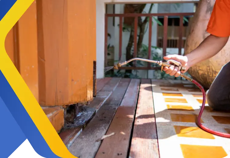 Quality Pest Control Service | Easy Buzz It